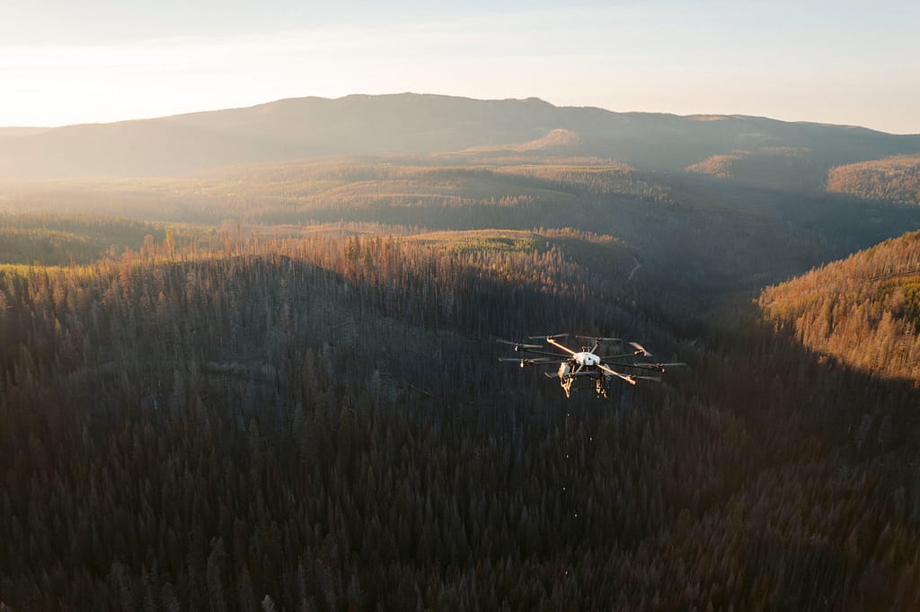 Drone planting Flash Forest