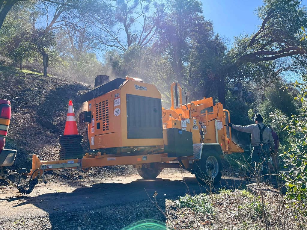 Project Update: Volcan Mountain Foundation Conservation Project 1