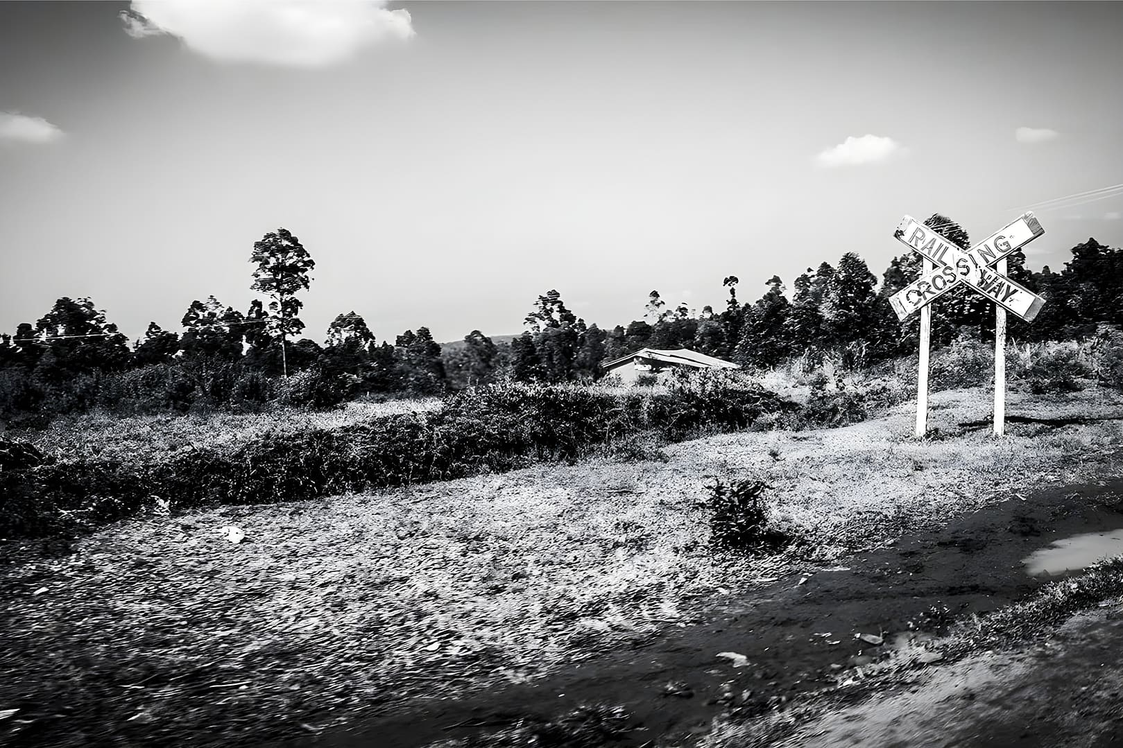 At the Crossroads