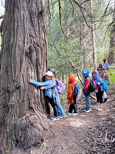 Volcan outdoor programs for kids.