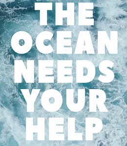The Ocean Needs Your Help video screenshot