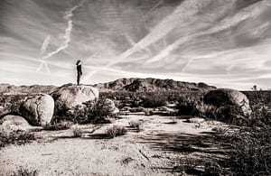 Joshua Tree No 12