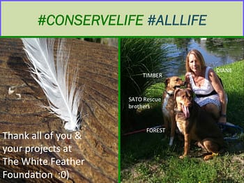 CONSERVE-LIFE-PHOTO