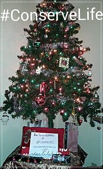 IMG_20141211_195448