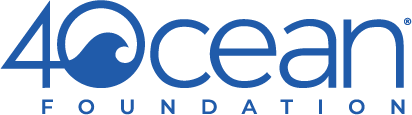 4Ocean Blue Logo Temporary