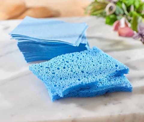 Blue Sponges
