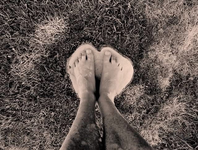 Julian Lennon's feet. Tree Stumping