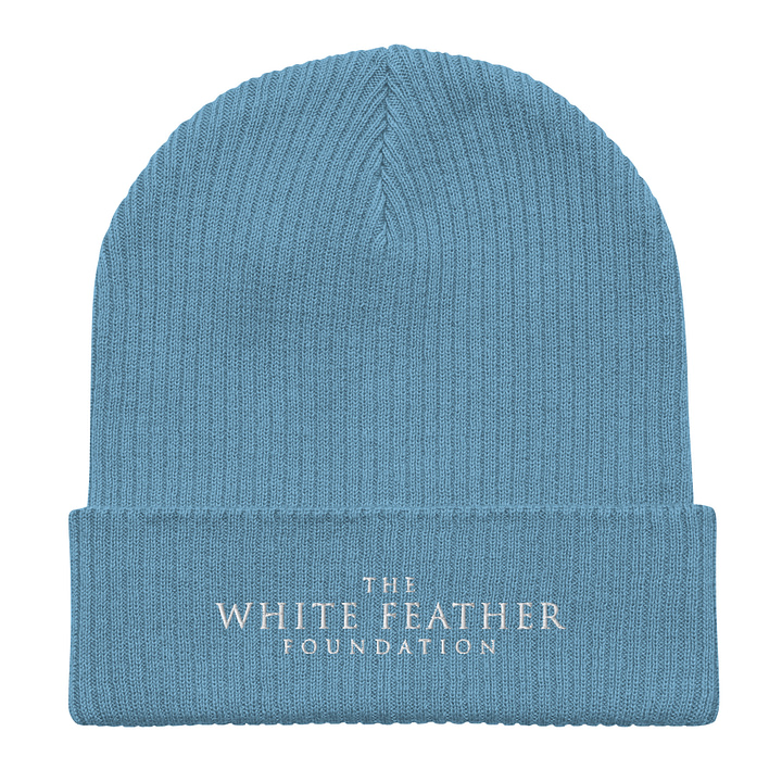 TWFF Sustainable Organic Beanie in Light Blue - Image 3