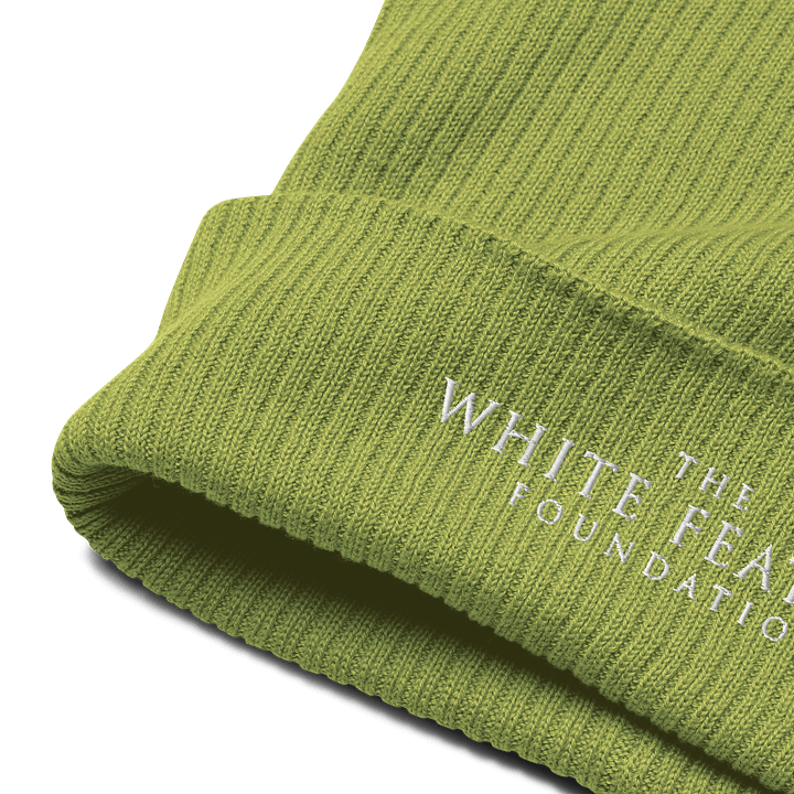 TWFF Sustainable Organic Beanie in Leaf Green - Image 4