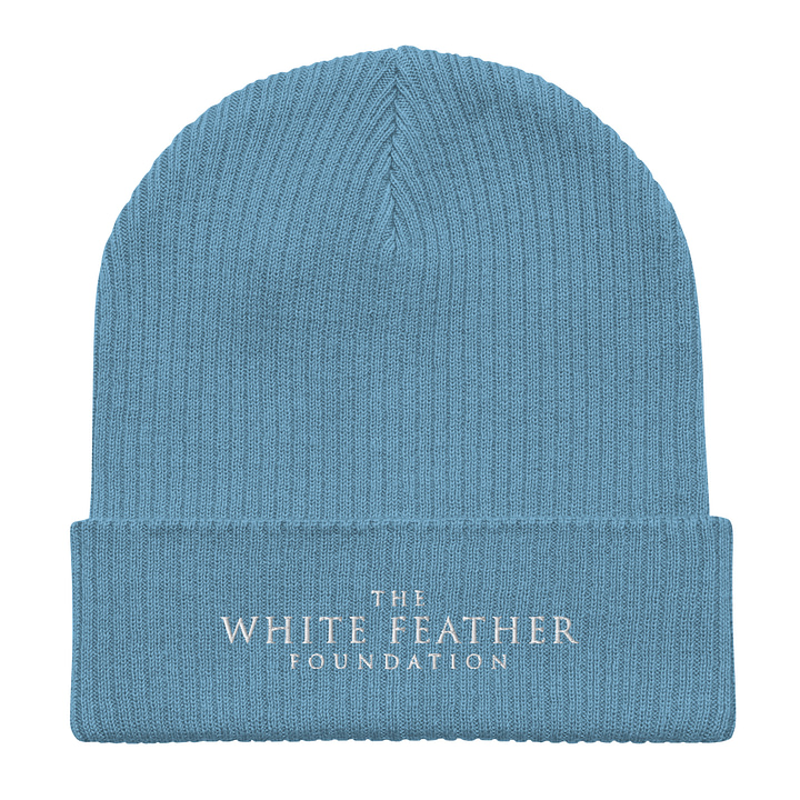 TWFF Sustainable Organic Beanie in Light Blue 3