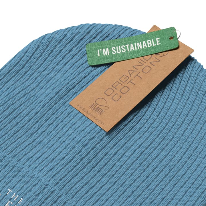 TWFF Sustainable Organic Beanie in Light Blue 2