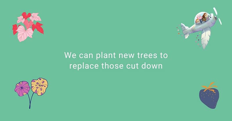Reforestation Lesson