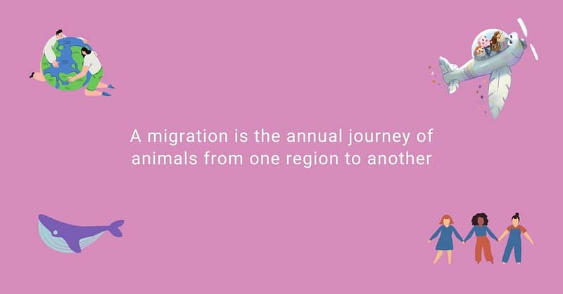Migration Lesson