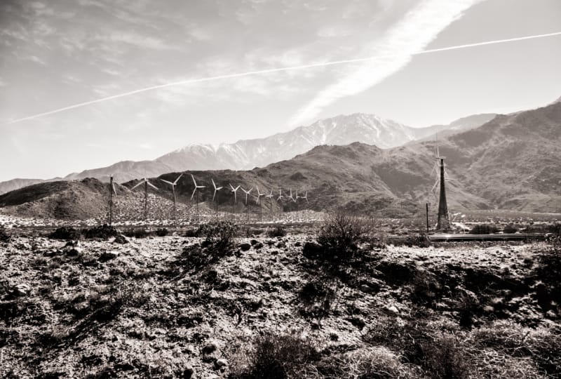 Joshua Tree 2 by Julian Lennon