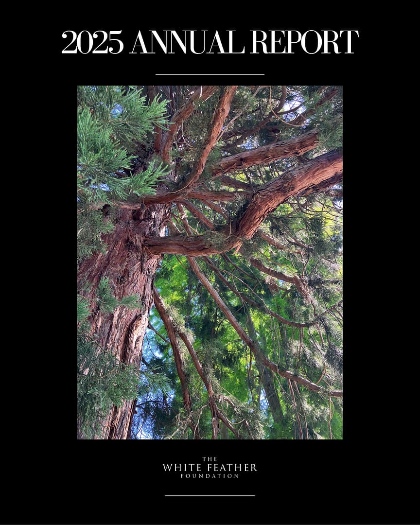 annual report