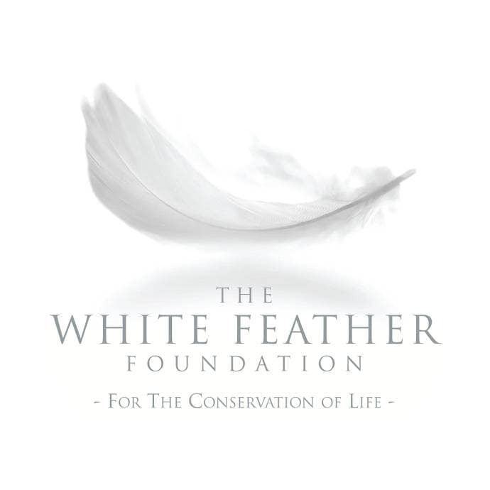 White Feather Foundation logo