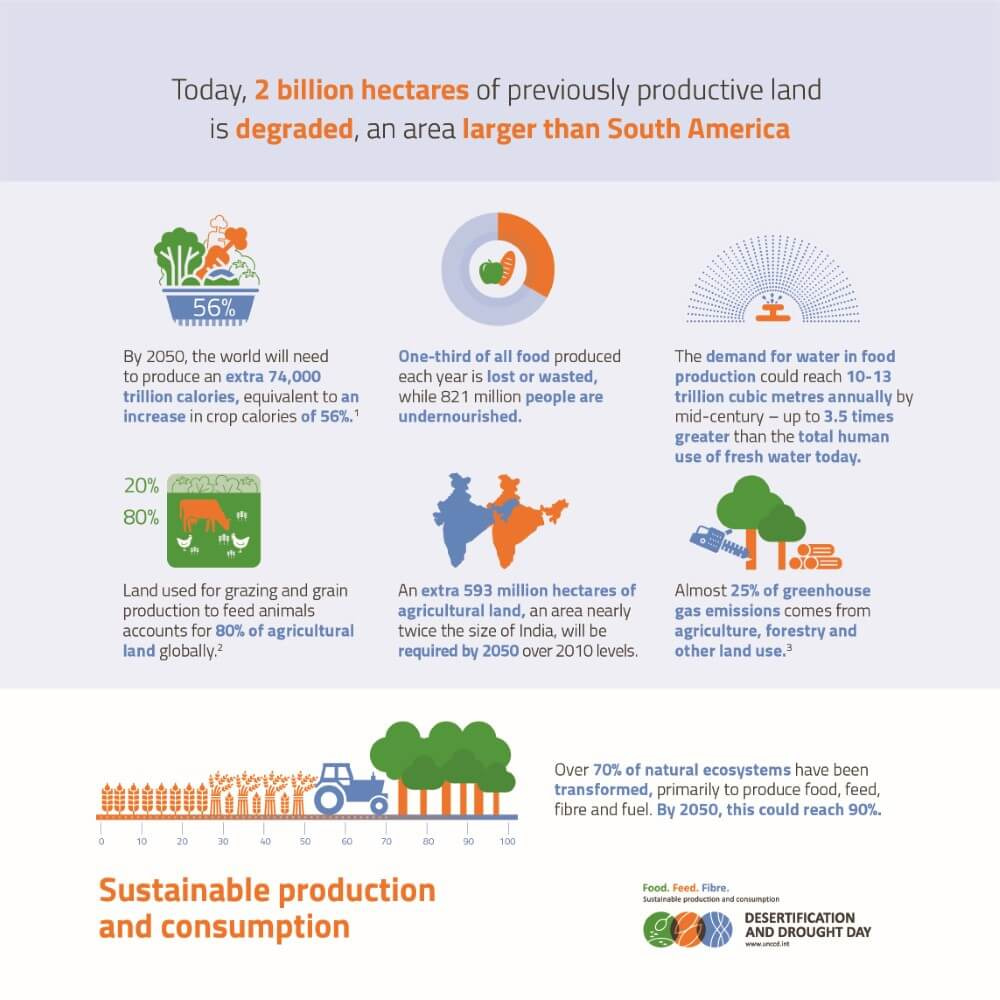 Desertification and Drought Infographic