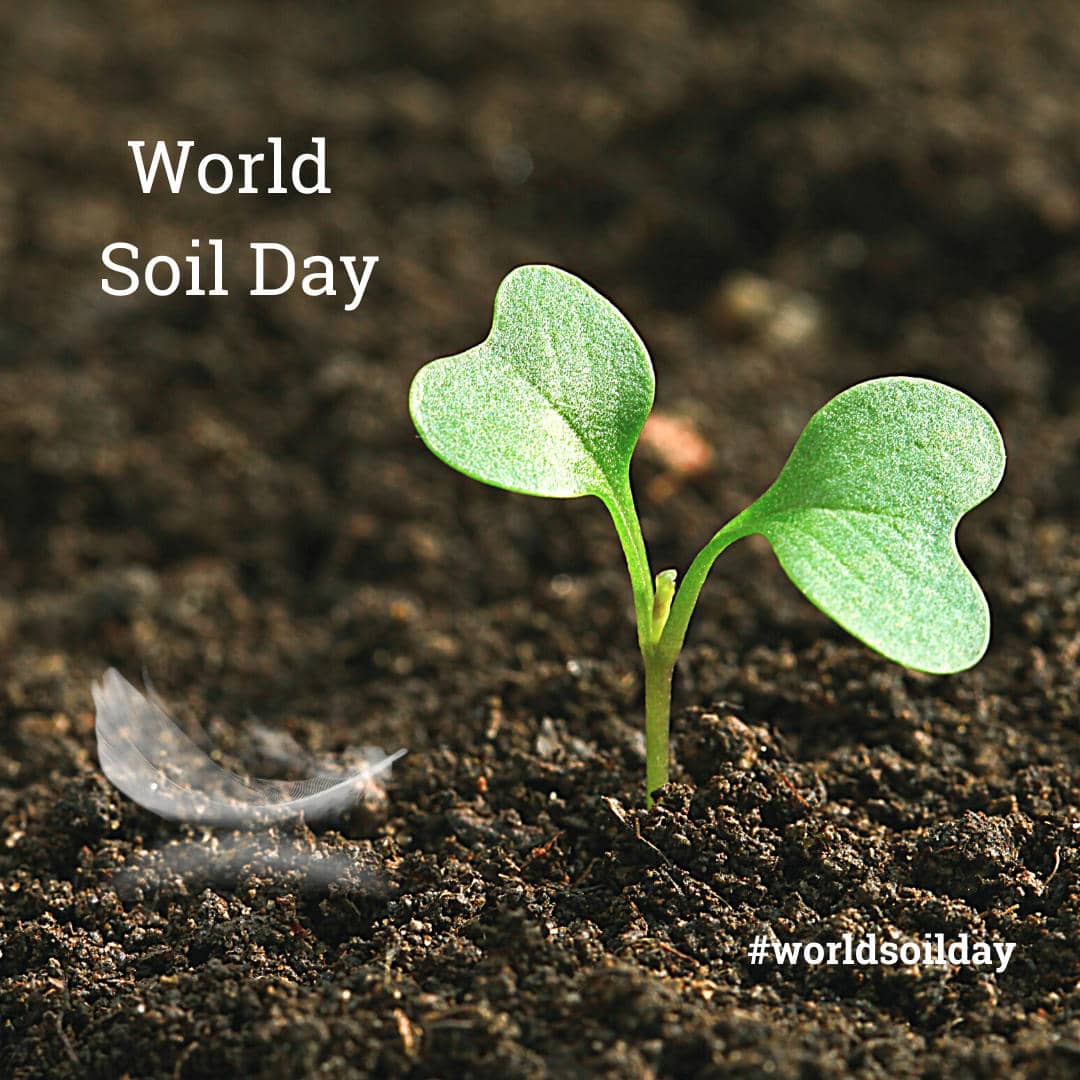 World Soil Day