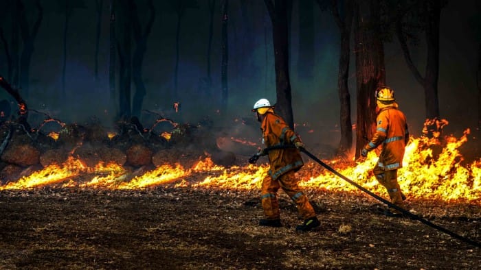 organizations fighting australia fires