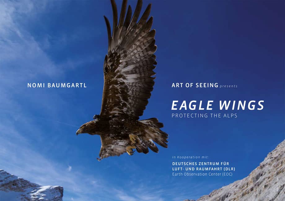Eagle Wings Ambassador
