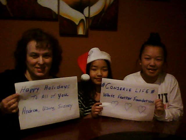 ChineseTurkeyDinner