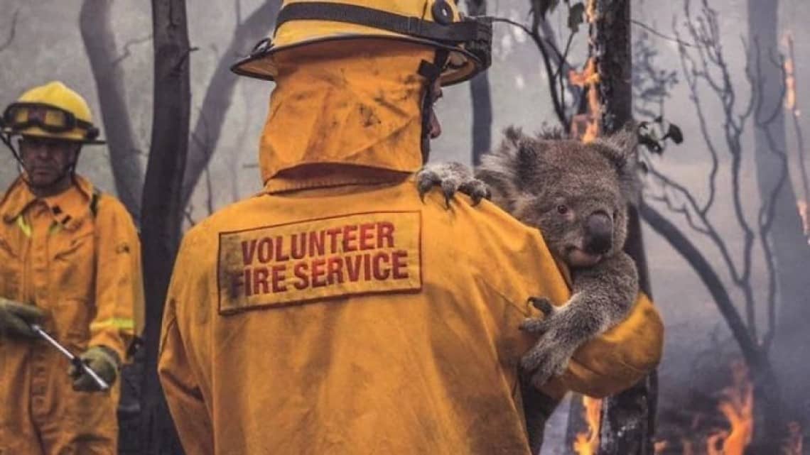 australia fires conserve life