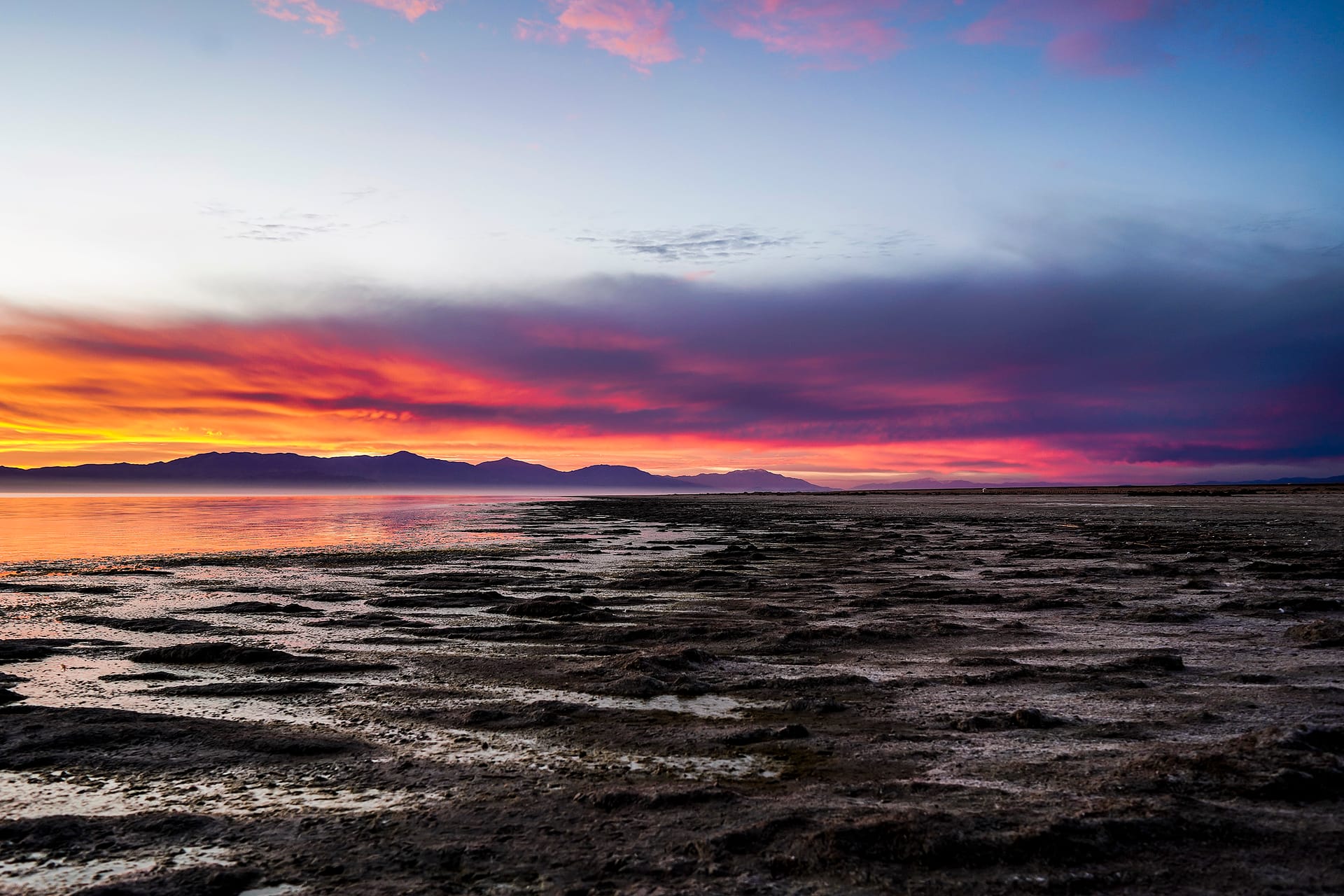 Salton Sea: From Heavenly To Hazardous