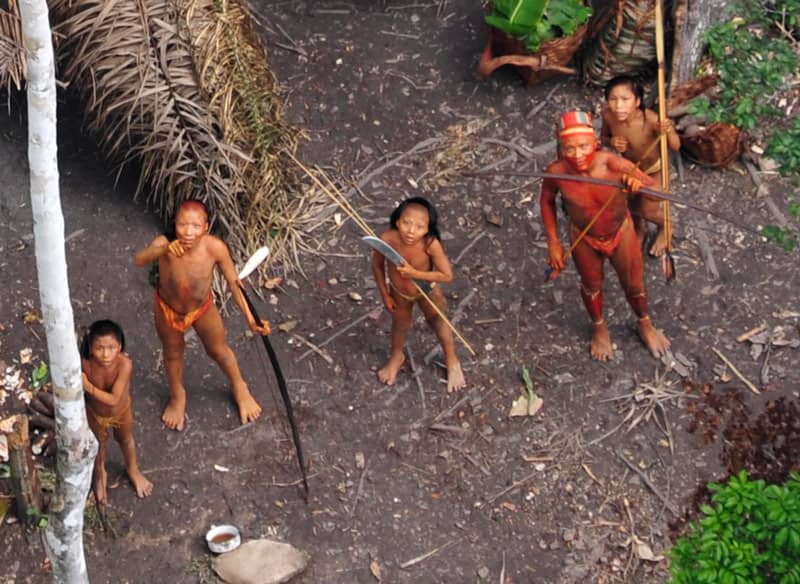 survival-international